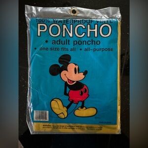 New! 🚨Famous Disney yellow poncho